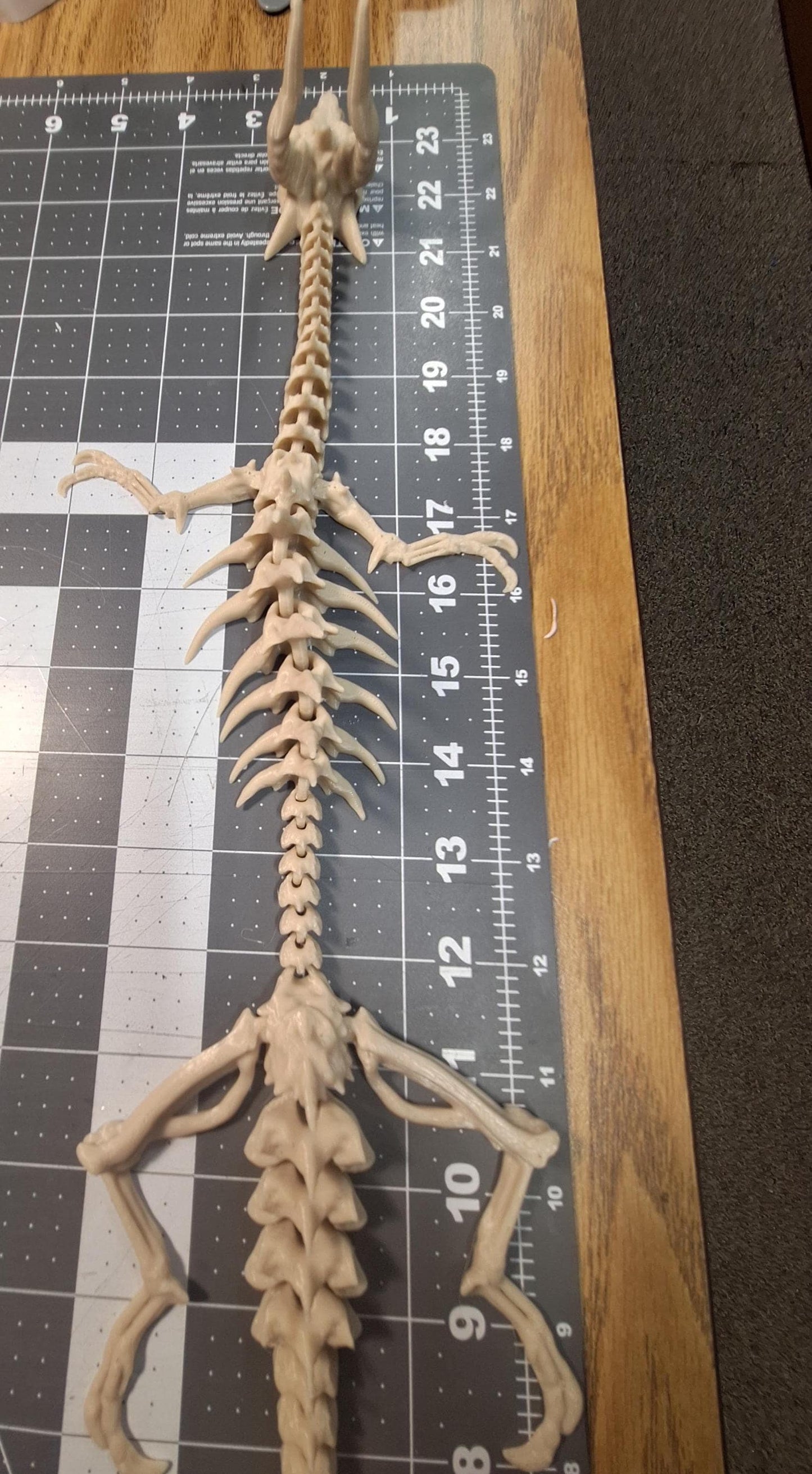 Articulated Bone Dragon Figurine 23 Inch | Poseable Skeleton Model for Collectors & Fantasy Decor